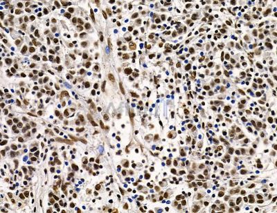 Валидация Affinity DF14621 - 10645