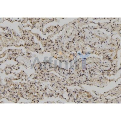 Валидация Affinity DF8068 - 19903