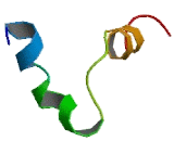 Olfactory Receptor 2G6 (OR2G6) Olfactory Receptor 2G6 (OR2G6)