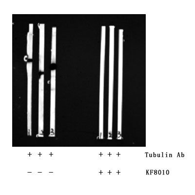 Валидация AFFINITY KF8010 - 2