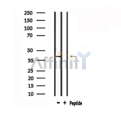 Валидация Affinity DF4921 - 16736