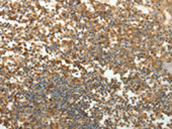 Валидация AssayVector ARM1721(2038)