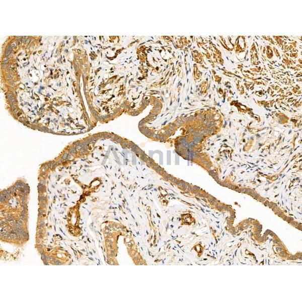 Валидация Affinity AF5303 - 2850