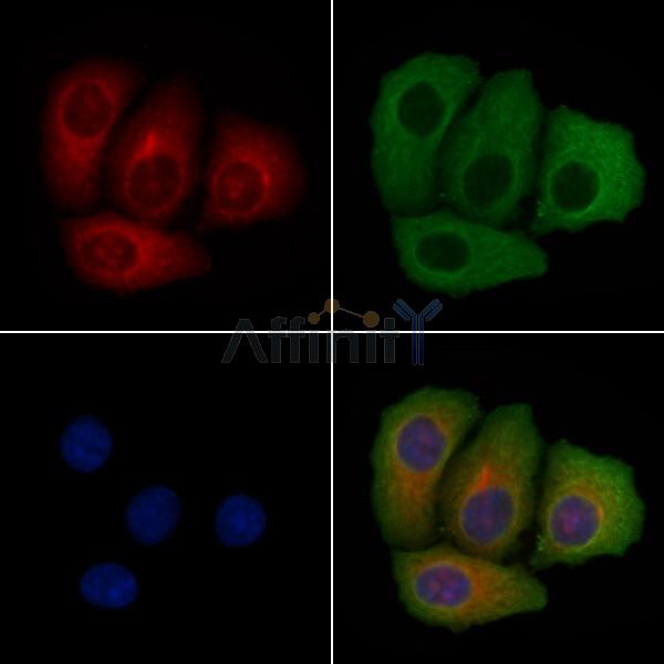 Валидация Affinity DF4493 - 16038