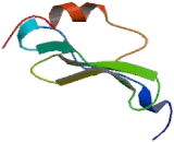 Interferon Inducible T-Cell Alpha Chemoattractant (ITaC) Interferon Inducible T-Cell Alpha Chemoattractant (ITaC)