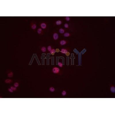 Валидация Affinity DF6284 - 17593