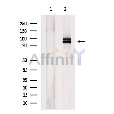 Валидация Affinity DF6235 - 17518
