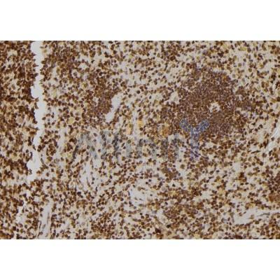 Валидация Affinity DF6925 - 18527