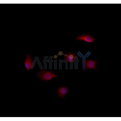 Валидация Affinity DF8710 - 20706