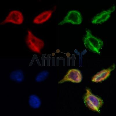 Валидация Affinity AF5102 - 2453