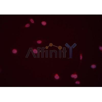Валидация Affinity DF2919 - 13655