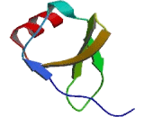 B-Lymphocyte Chemoattractant 1 (BLC1) B-Lymphocyte Chemoattractant 1 (BLC1)