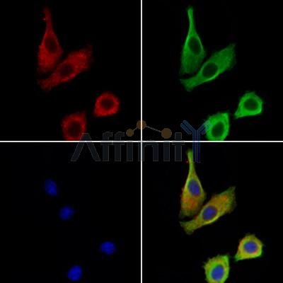 Валидация Affinity DF13725 - 9357