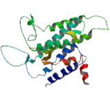 Lysophosphatidic Acid Receptor 3 (LPAR3) Lysophosphatidic Acid Receptor 3 (LPAR3)