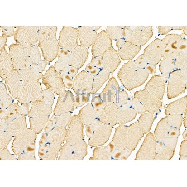 Валидация Affinity DF8008 - 19837