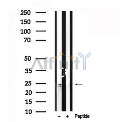 Валидация Affinity AF7620 - 4291