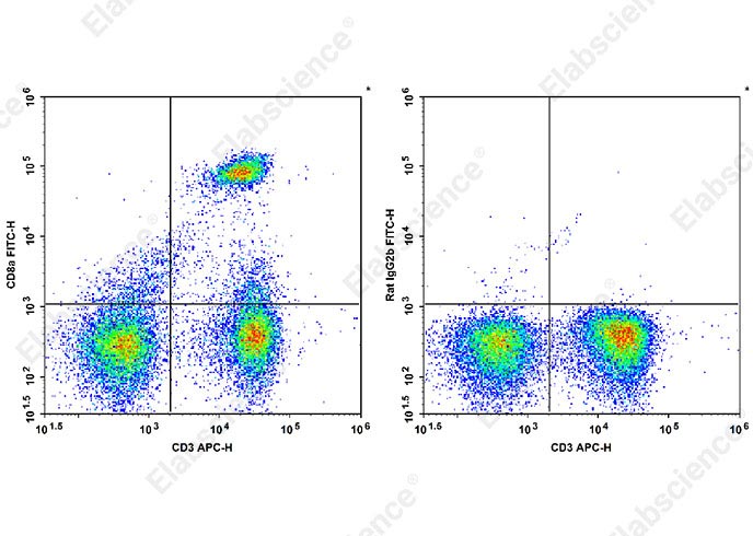 Валидация Elabscience AN00331C