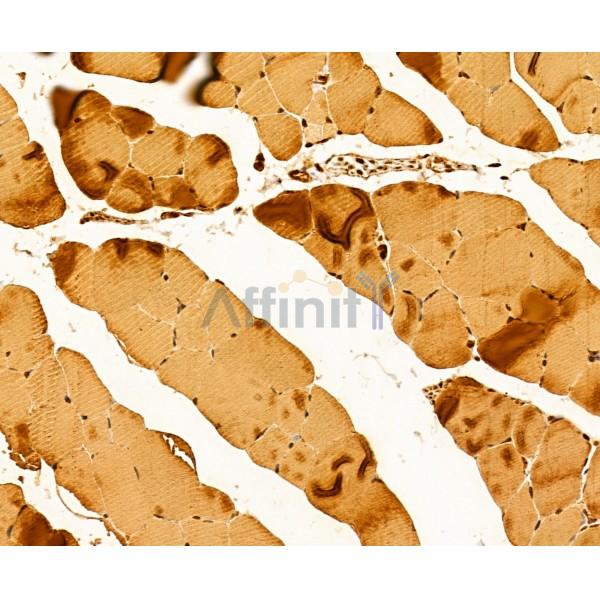 Валидация Affinity DF12165 - 6364