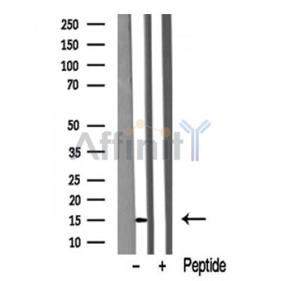 Валидация Affinity DF10325 - 5946