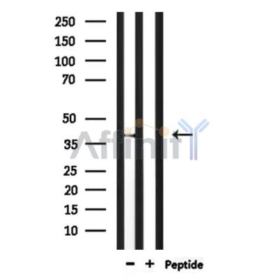 Валидация Affinity DF10276 - 5884