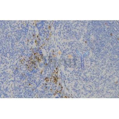 Валидация Affinity DF7518 - 19260