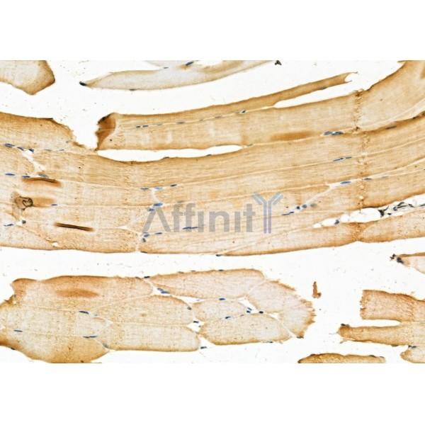 Валидация Affinity DF6764 - 18331