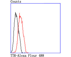 Валидация AssayVector ARM1145(405)