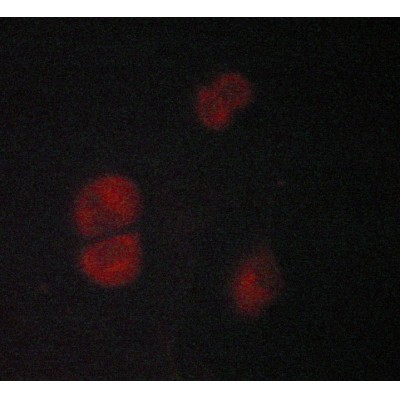 Валидация Affinity AF6117 - 3327