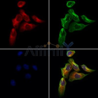 Валидация Affinity DF12259 - 6585