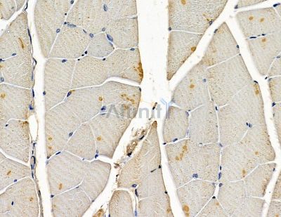 Валидация Affinity DF15959 - 12482