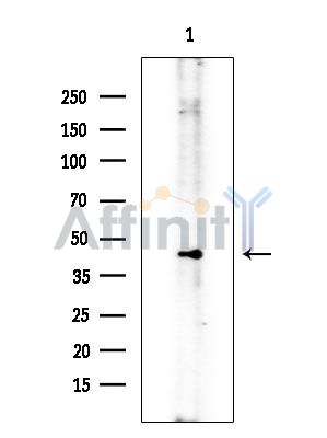 Валидация Affinity DF6910 - 18508