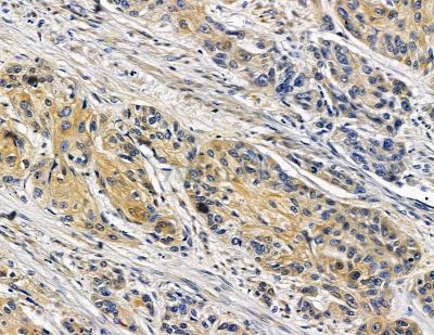 Валидация Affinity DF15514 - 11897