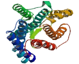 Opsin 5 (OPN5) Opsin 5 (OPN5)