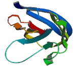 Sialic Acid Binding Ig Like Lectin 7 (SIGLEC7) Sialic Acid Binding Ig Like Lectin 7 (SIGLEC7)