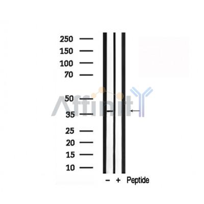 Валидация Affinity AF7815 - 4537