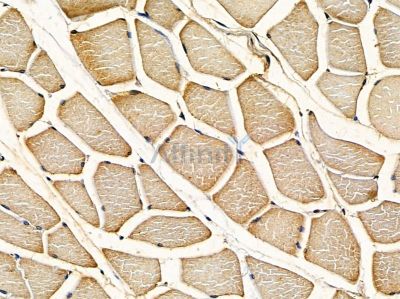 Валидация Affinity DF14336 - 10237