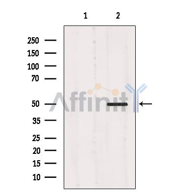 Валидация Affinity AF6337 - 3613