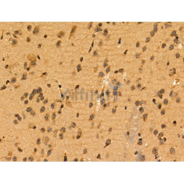 Валидация Affinity DF3192 - 14007