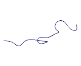 G Protein Signaling Modulator 3 (GPSM3) G Protein Signaling Modulator 3 (GPSM3)