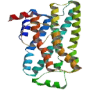 Trace Amine Associated Receptor 3 (TAAR3) Trace Amine Associated Receptor 3 (TAAR3)
