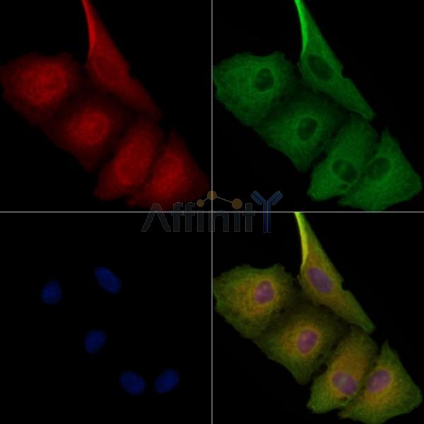 Валидация Affinity DF8794 - 20830