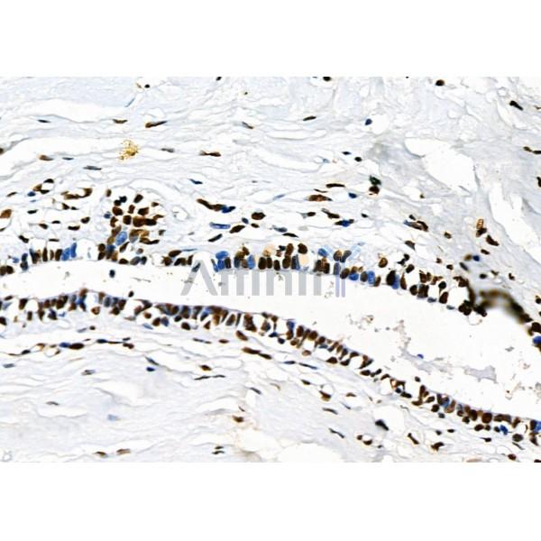 Валидация Affinity DF3150 - 13948