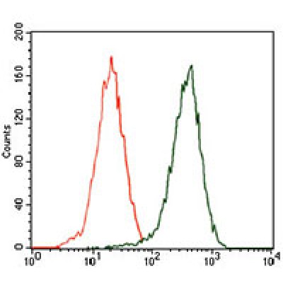 Валидация Affinity BF1005 - 5409