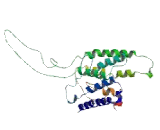 Taste Receptor Type 2 Member 16 (TAS2R16) Taste Receptor Type 2 Member 16 (TAS2R16)