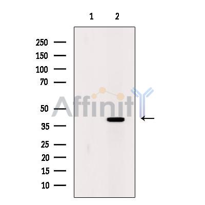 Валидация Affinity DF10206 - 5763