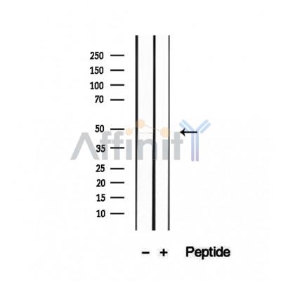 Валидация Affinity DF12442 - 6965