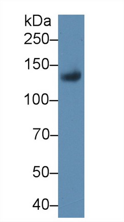 9945