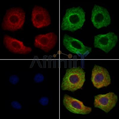 Валидация Affinity AF6042 - 3244