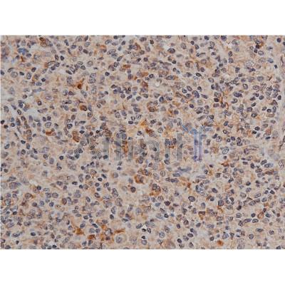 Валидация Affinity AF7020 - 4169