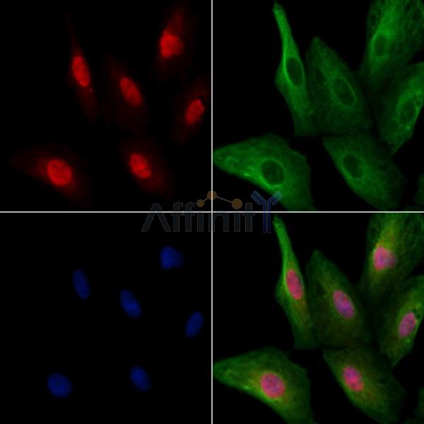 Валидация Affinity DF9947 - 22954